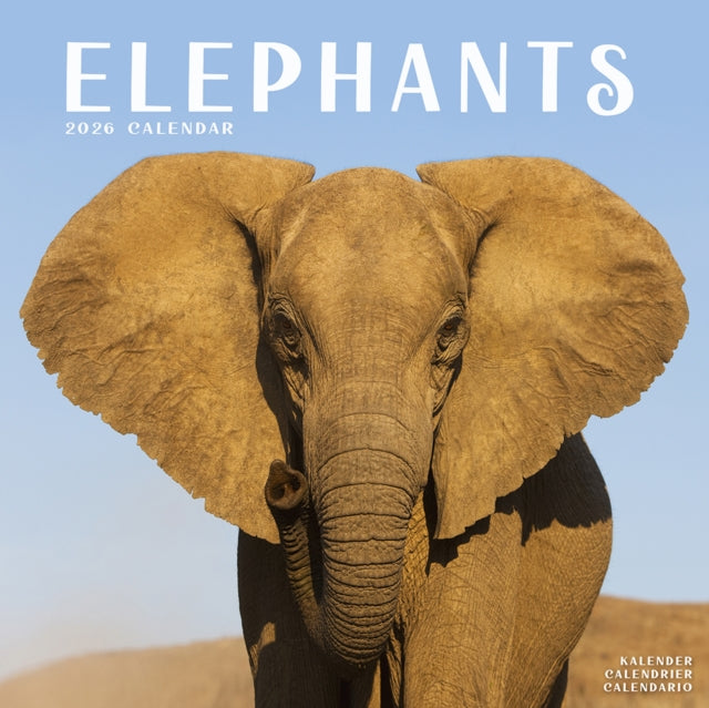 Elephants Calendar 2026 Square Wildlife Safari Wall Calendar - 16 Month