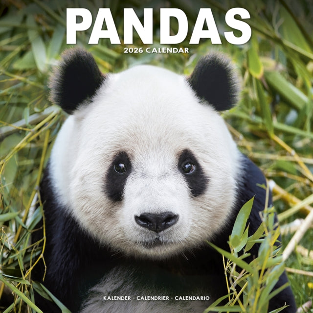 Panadas Calendar 2026 Square Animal Wall Calendar - 16 Month