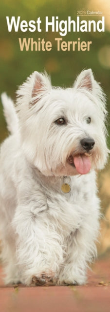 West Highland Terrier Slim Calendar 2026 Dog Breed Slimline Calendar - 12 Month