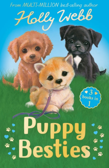 Puppy Besties: The Puppy Who Ran Away, The Puppy Who Couldn't Sleep, The Forgotten Puppy