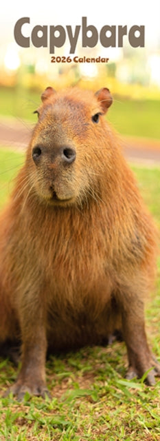 Capybara Slim Calendar 2026 Cute Slimline Calendar - 12 Month