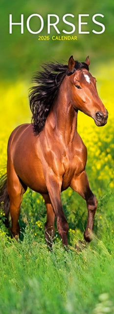 Horses Slim Calendar 2026 Horses Slimline Calendar - 12 Month