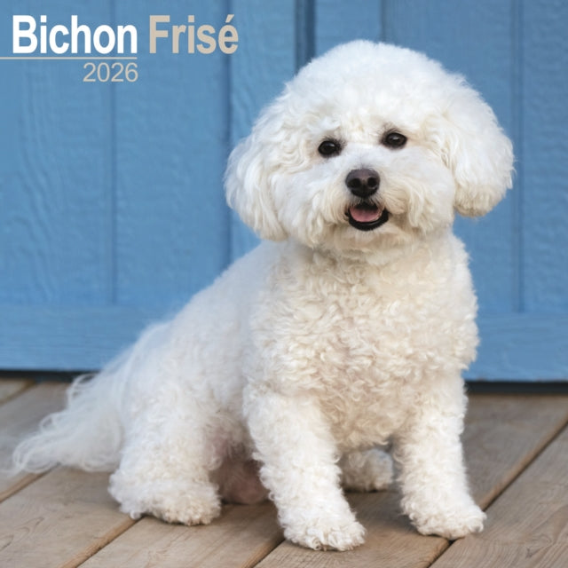 Bichon Frise Calendar 2026 Square Dog Breed Wall Calendar - 16 Month