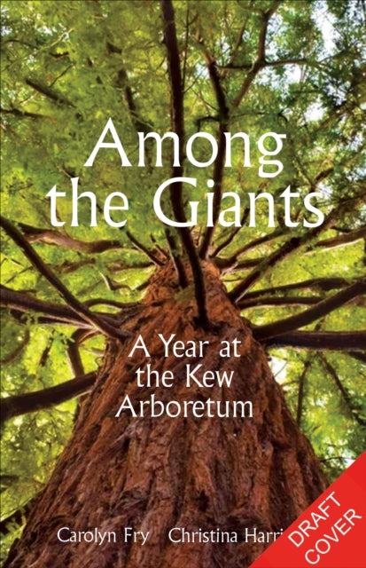 Among the Giants: A Year at Kew's Arboretum