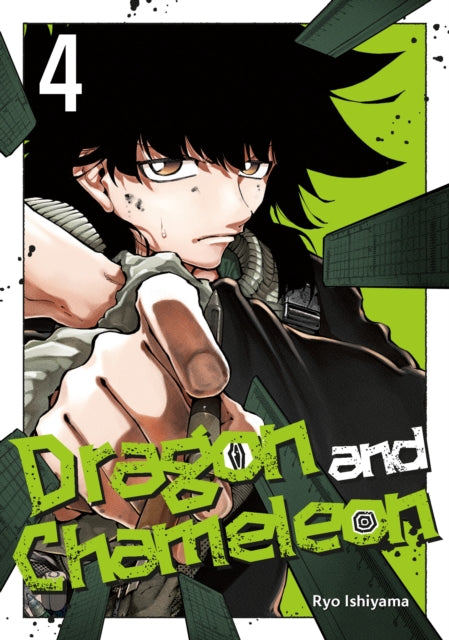 Dragon and Chameleon 04