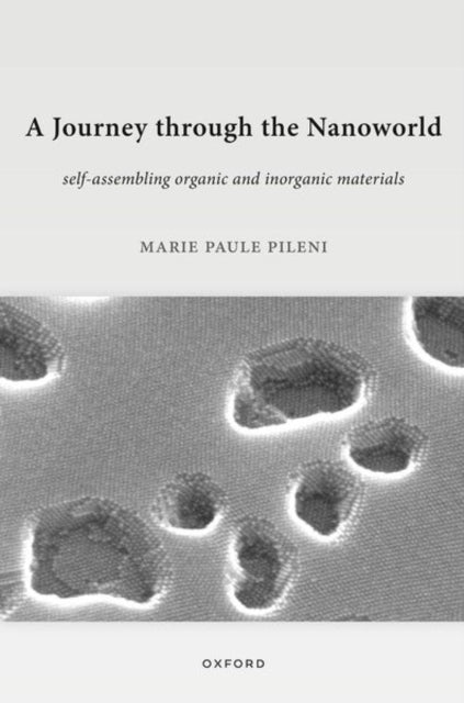 A Journey through the Nanoworld: Self-Assembling Organic and Inorganic Materials