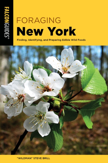 Foraging New York