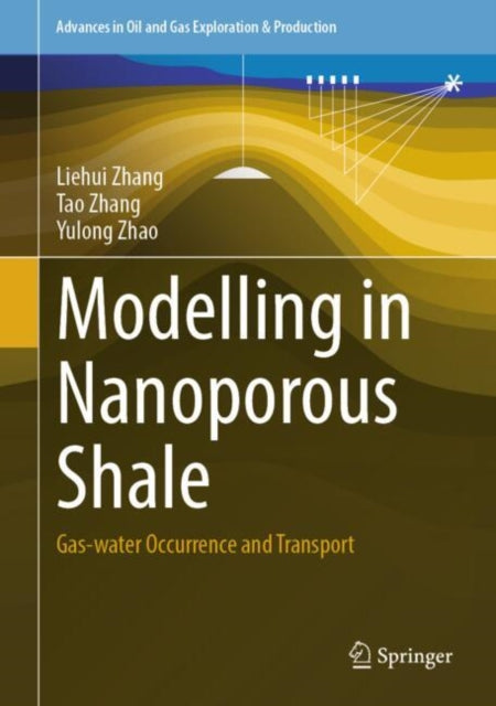 Modelling in Nanoporous Shale: Gas-water Occurrence and Transport