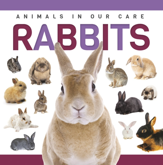 Rabbits