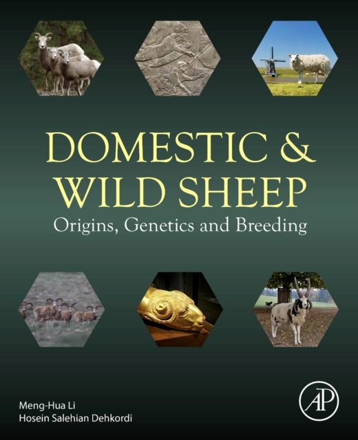 Domestic and Wild Sheep: Origins, Genetics and Breeding