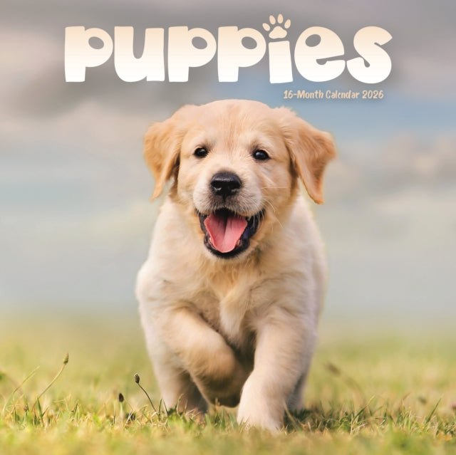 Puppies Square Mini Sunday Start Calenda
