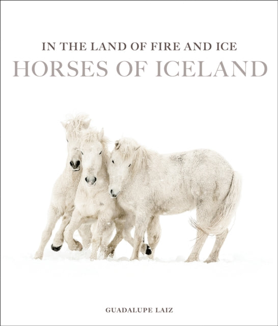 In the Land of Fire and Ice: Horses of Iceland