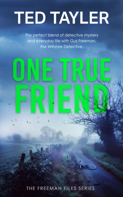 One True Friend: A Cold Case Murder Mystery Series