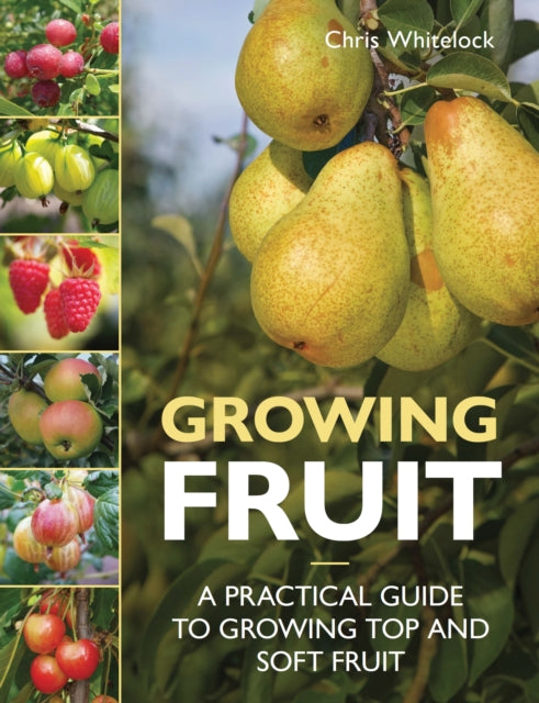 Growing Fruit: A Practical Guide to Growing Top and Soft Fruit
