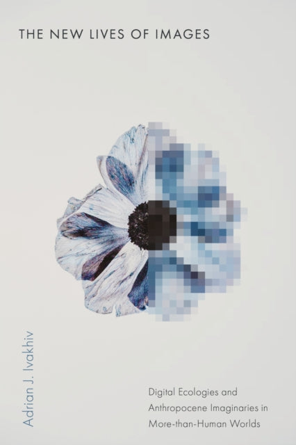 The New Lives of Images: Digital Ecologies and Anthropocene Imaginaries in More-than-Human Worlds