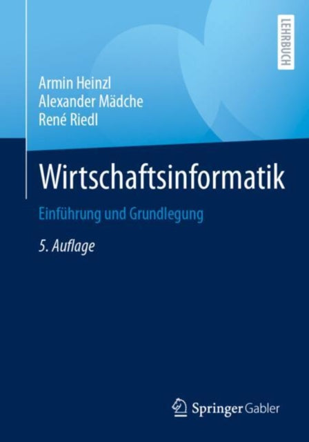 Wirtschaftsinformatik: Einfuhrung und Grundlegung