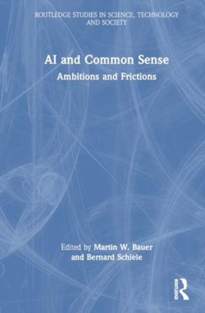 AI and Common Sense: Ambitions and Frictions