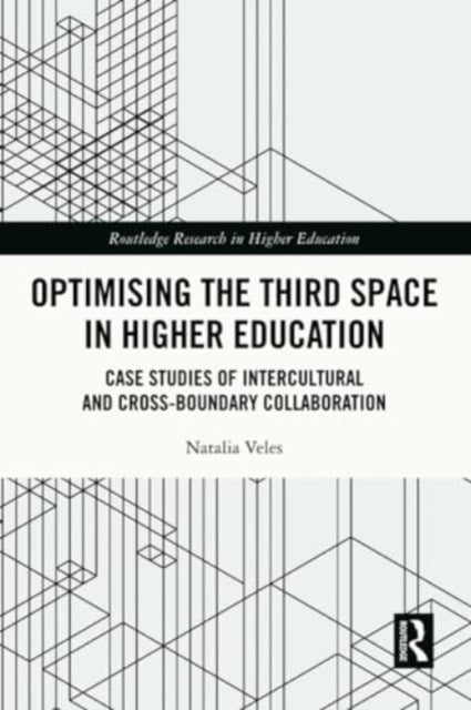 Optimising the Third Space in Higher Education: Case Studies of Intercultural and Cross-Boundary Collaboration