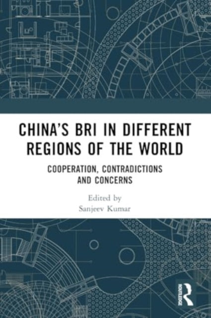 China’s BRI in Different Regions of the World: Cooperation, Contradictions and Concerns