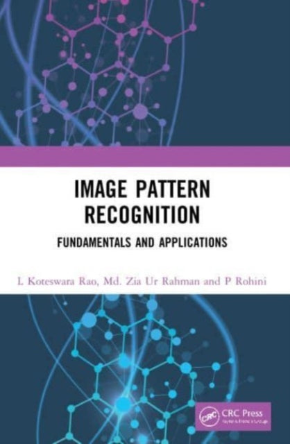 Image Pattern Recognition: Fundamentals and Applications