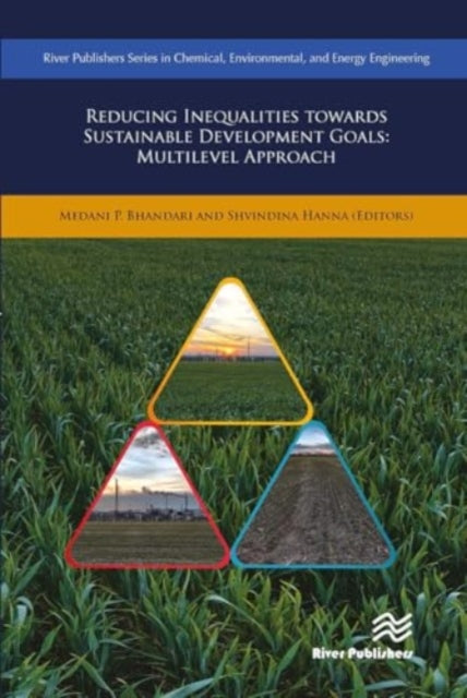 Reducing Inequalities Towards Sustainable Development Goals: Multilevel Approach