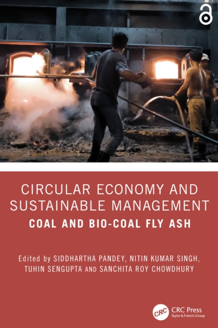 Circular Economy and Sustainable Management: Coal and Bio-Coal Fly Ash
