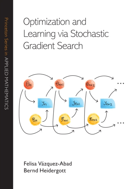 Optimization and Learning via Stochastic Gradient Search