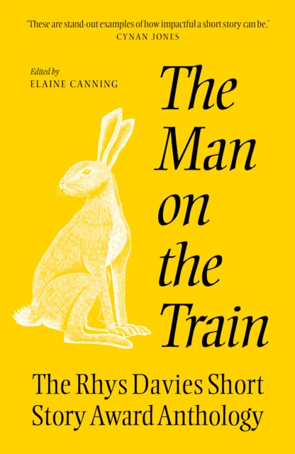 The The Man on the Train: The Rhys Davies Short Story Competition Anthology