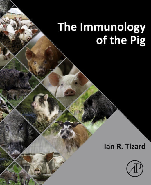 The Immunology of the Pig