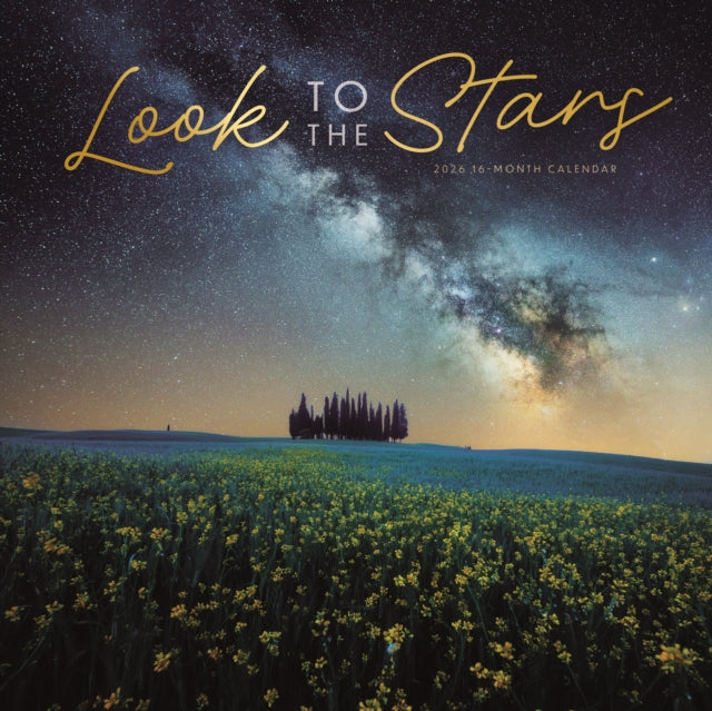 Look To The Stars Square Wall Sunday Sta
