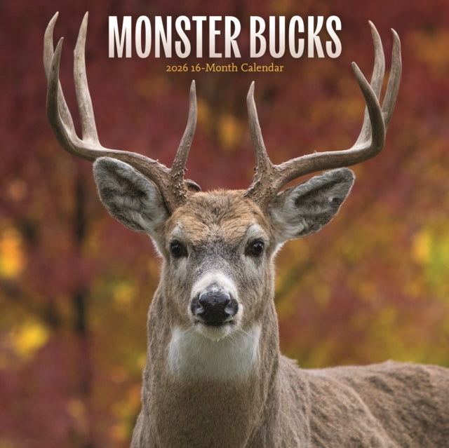 Monster Bucks Square Wall Sunday Start C