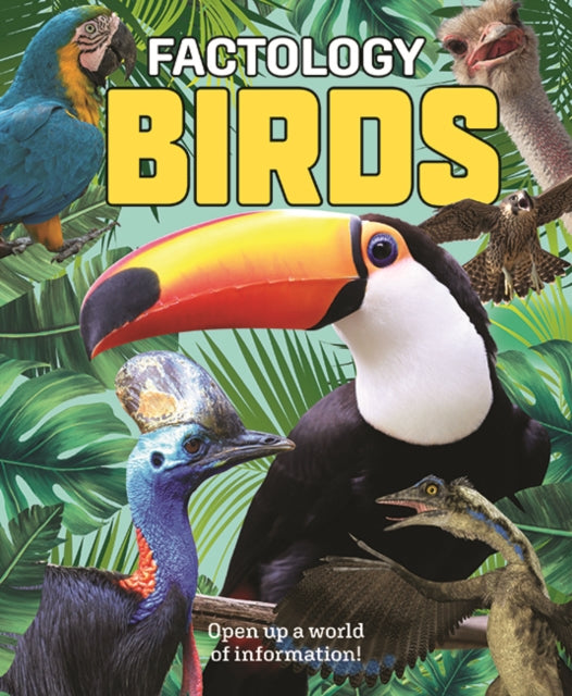 Factology: Birds: Open Up a World of Information!