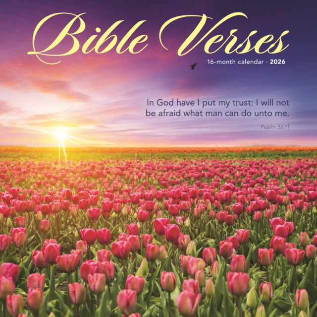 Bible Verses Square Wall Sunday Start Ca