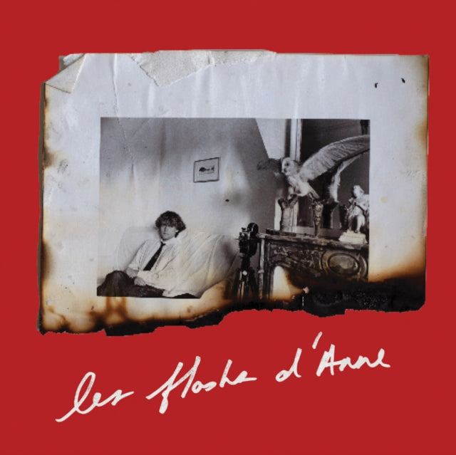 Anne Day: Les Flashes D'Anne: Friendship Among the Ashes with Herve Guibert
