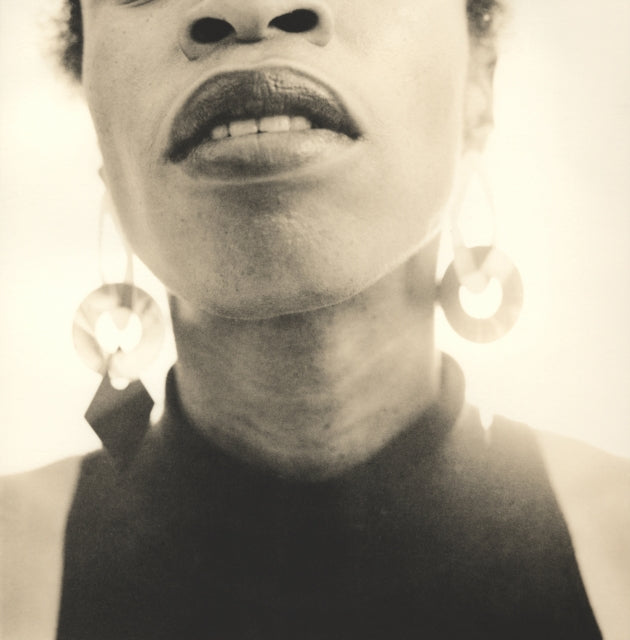 Joy Gregory: Catching Flies With Honey