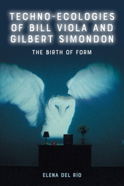 Techno-Ecologies of Bill Viola and Gilbert Simondon: The Birth of Form