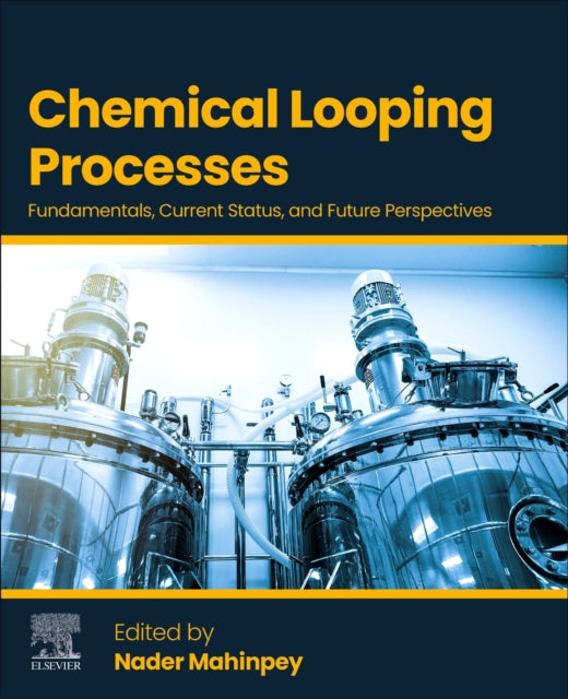 Chemical Looping Processes: Fundamentals, Current Status, and Future Perspectives