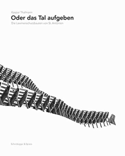 Oder Das Tal Aufgeben: Die Lawinenschutzbauten Von St. Antonien