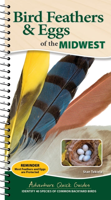 Bird Feathers & Eggs of the Midwest: Identify 40 Species of Common Backyard Birds