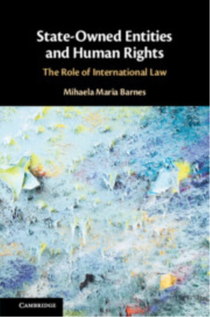 State-Owned Entities and Human Rights: The Role of International Law