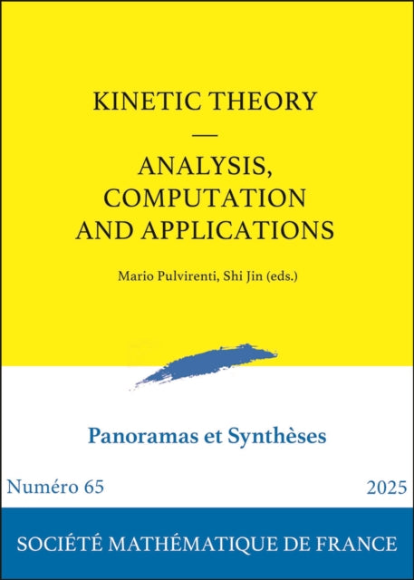 Kinetic Theory: Analysis, Computation and Applications