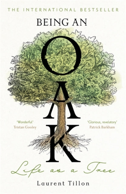 Being an Oak: Life as a tree