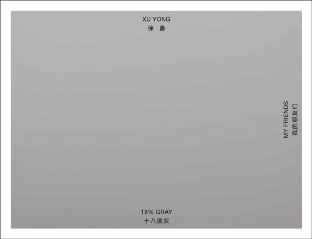 Xu Yong: 18% GRAY / MY FRIENDS