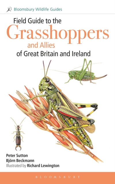 Field Guide to the Grasshoppers and Allies of Great Britain and Ireland: Grasshoppers, Crickets, Earwigs, Cockroaches, Mantids and Stick-insects