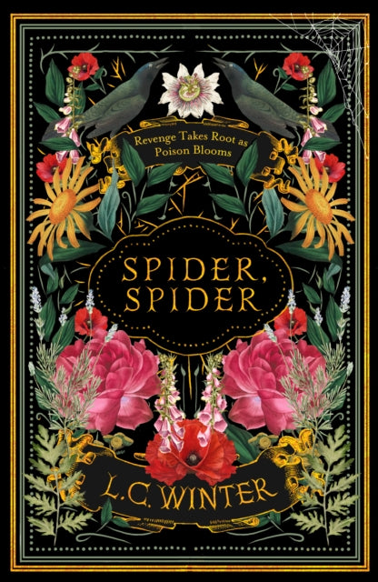 Spider, Spider: 'Black as night and as cleverly woven as a spider's web' Anna Mazzola