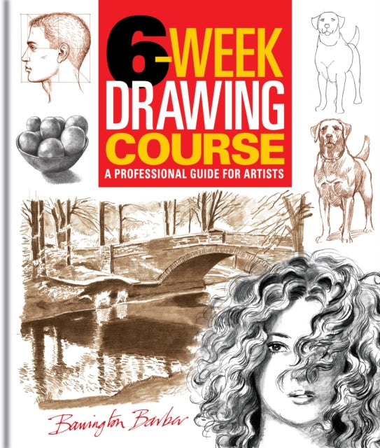 6-Week Drawing Course: A Professional Guide for Artists