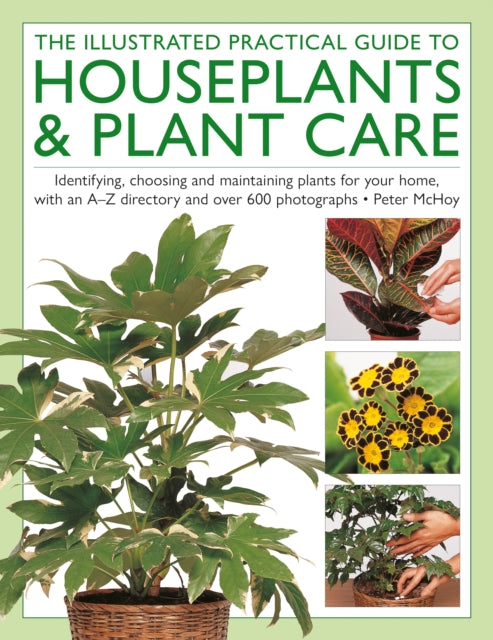 The Illustrated Practical Guide to Houseplants & Plant Care: Identifying, choosing and maintaining plants for your home, with an A–Z directory and over 600 photographs