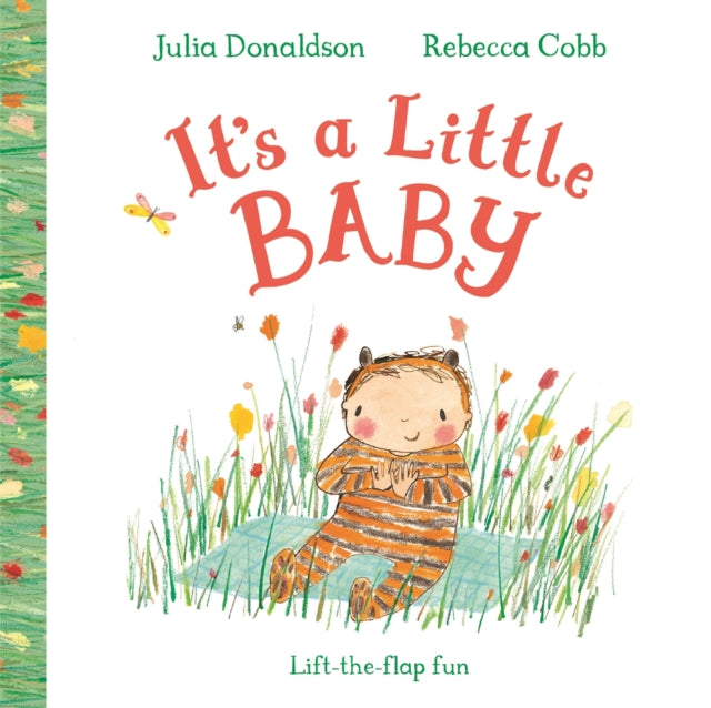 It's a Little Baby: A lift-the-flap book
