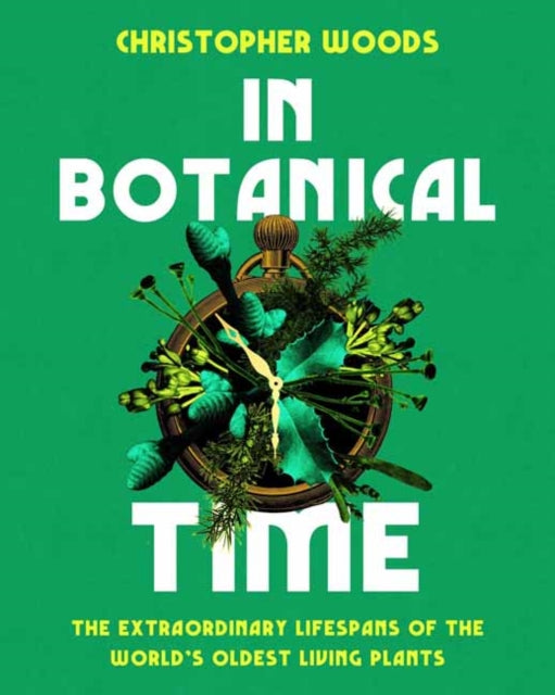 In Botanical Time: The Extraordinary Lifespans of the World's Oldest Living Plants