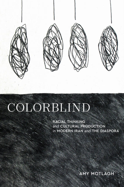 Colorblind: Racial Thinking and Cultural Production in Modern Iran and the Diaspora